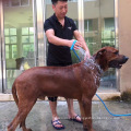 A17 pet dog grooming ferramenta limpa portátil pet dog shower pet chuveiro pulverizador